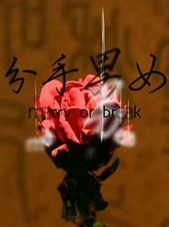 分手男女2008