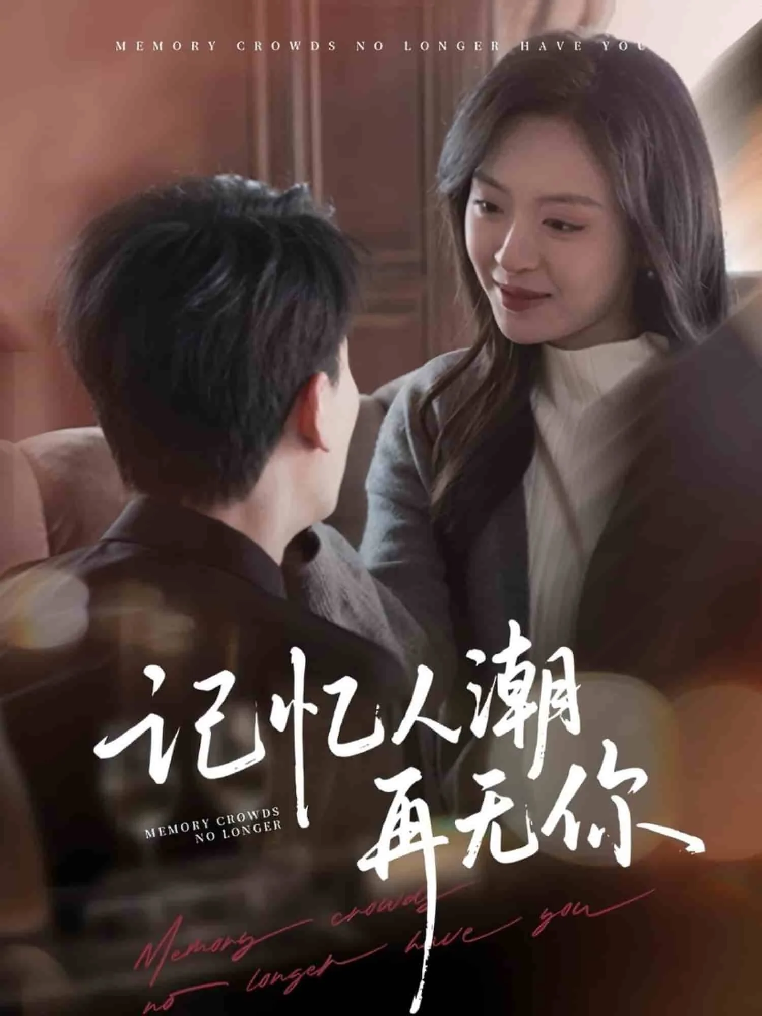 记忆人潮再无你