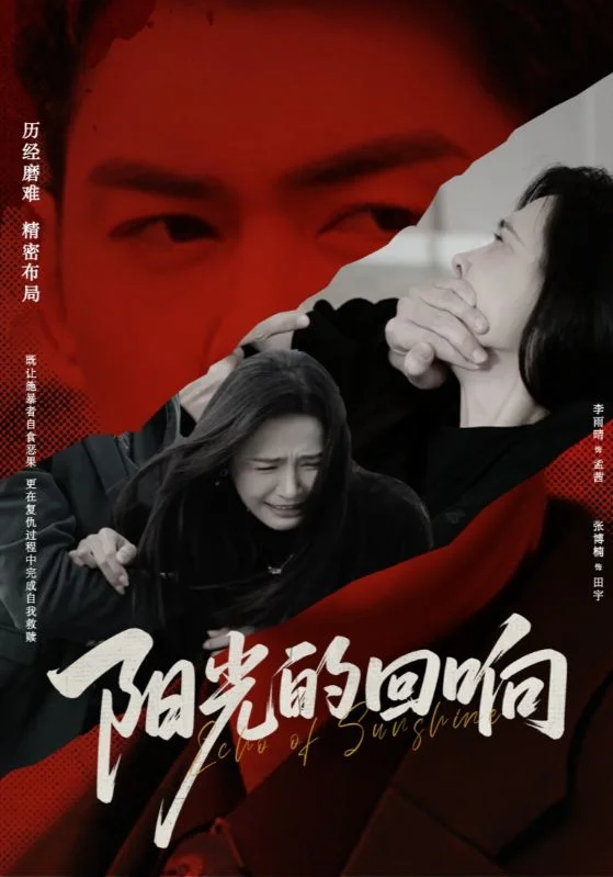 阳光的回响