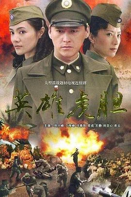 英雄虎胆2007