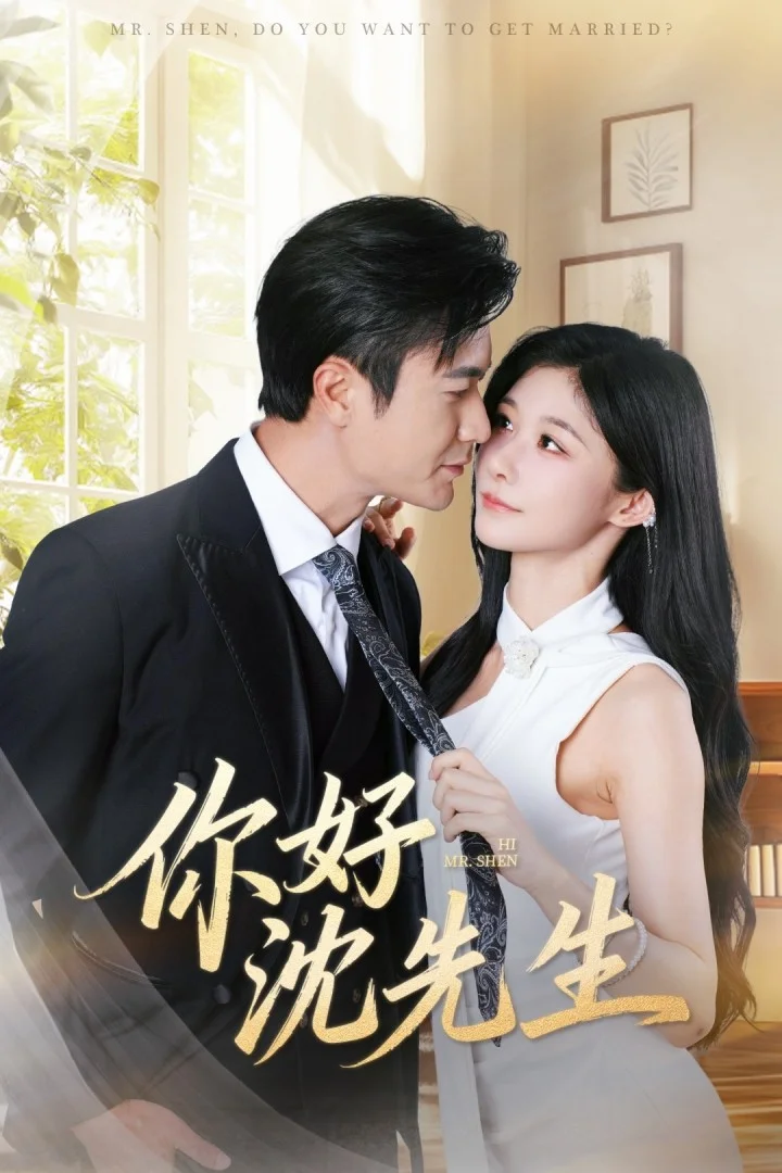 你好沈先生