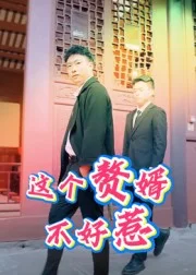 这个赘婿不好惹
