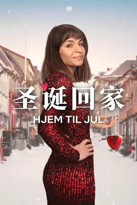 圣诞寻伴第3季