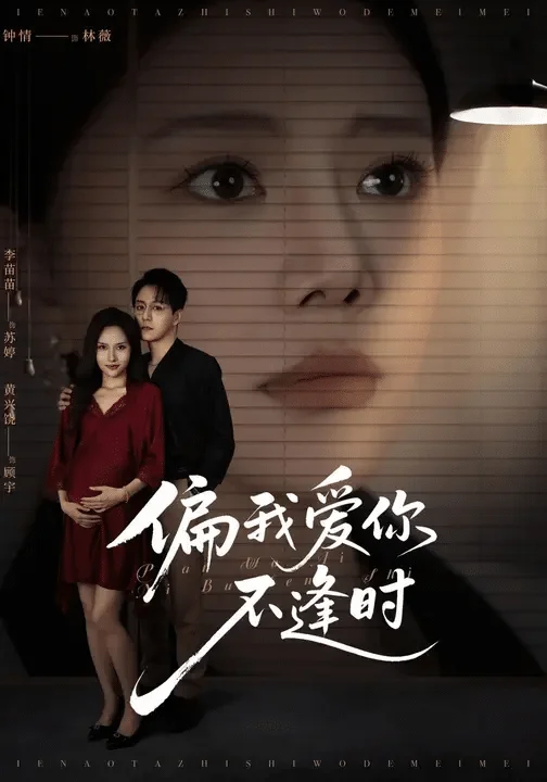 偏我爱你不逢时