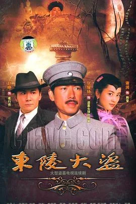 东陵大盗2008
