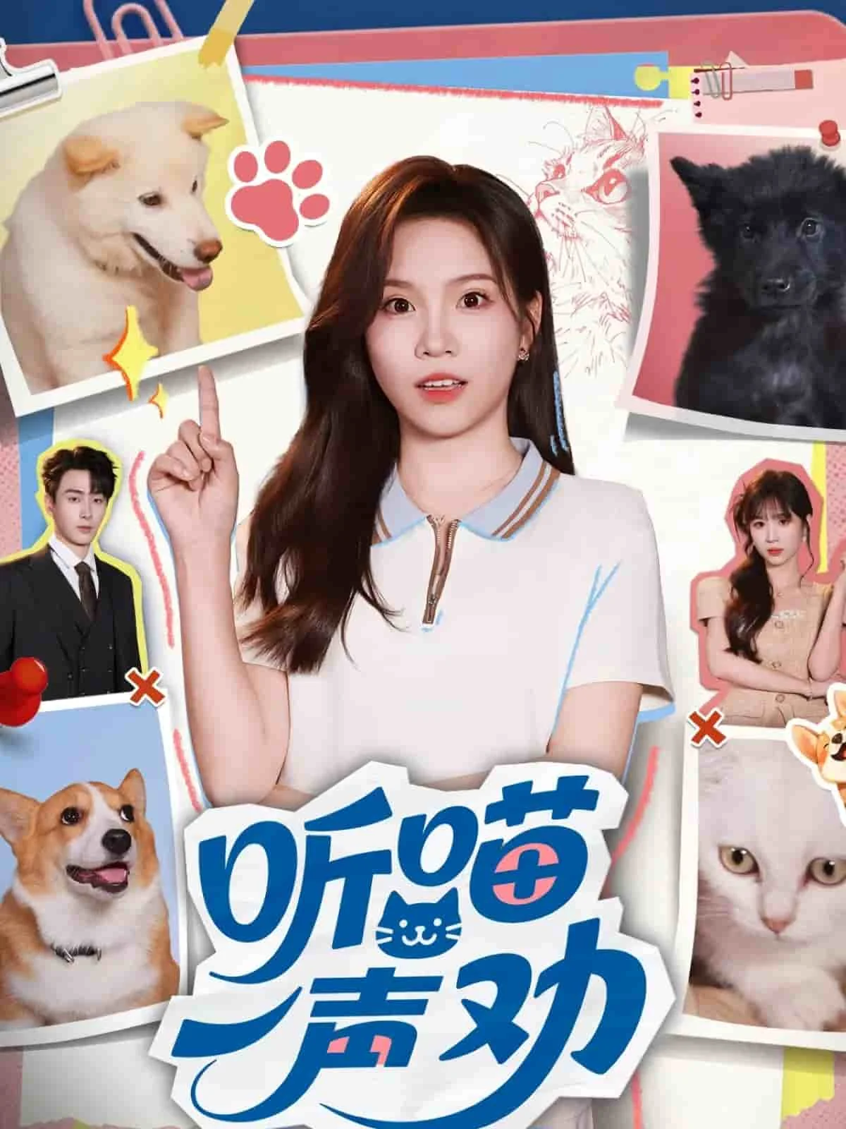 听喵一声劝