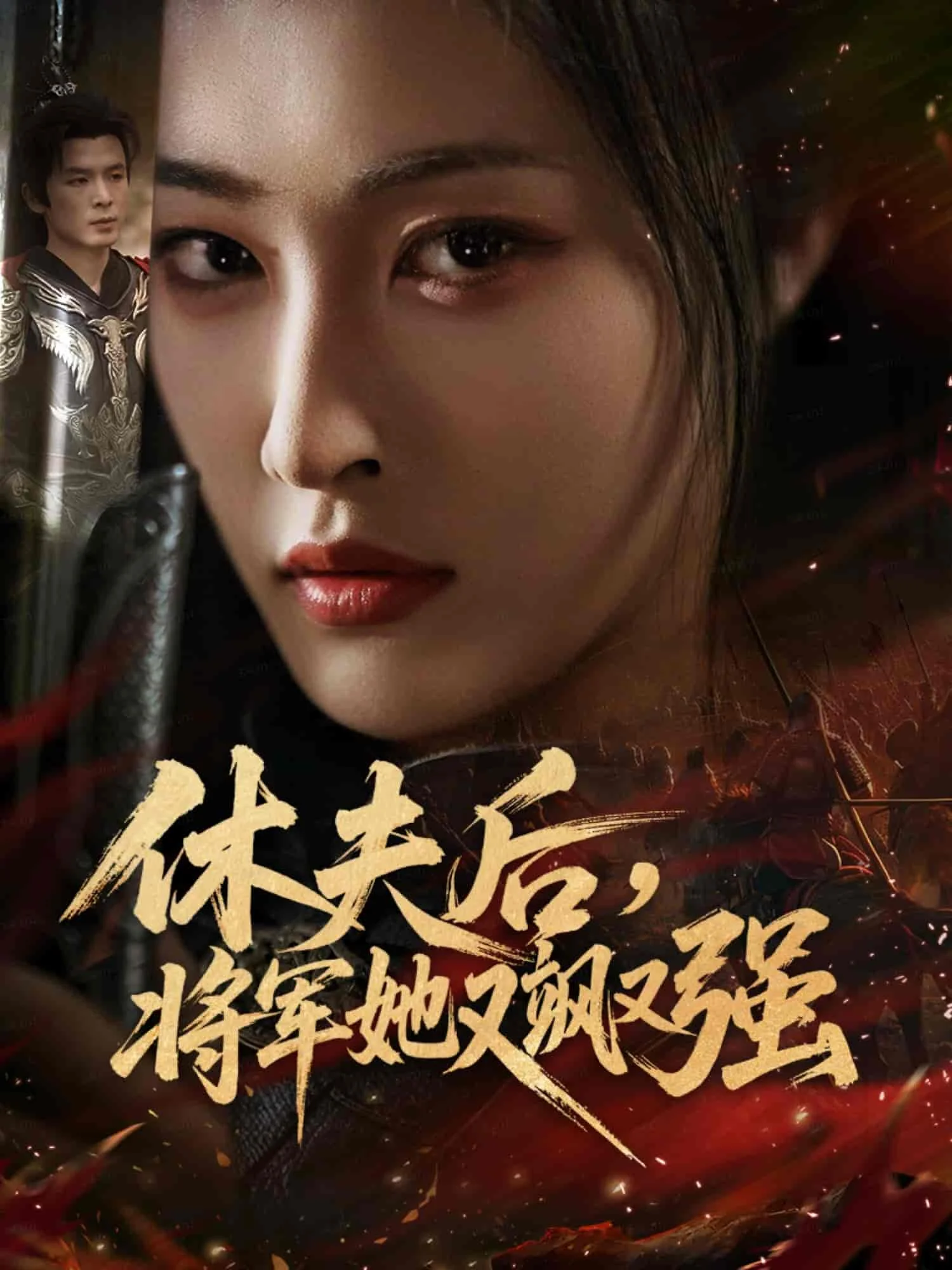 休夫后，将军她又飒又强