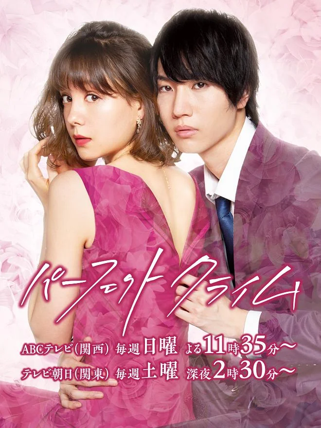 完美犯罪2019