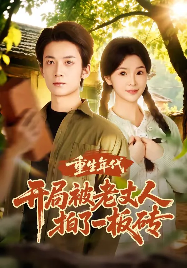 重生年代开局被老丈人拍了一板砖