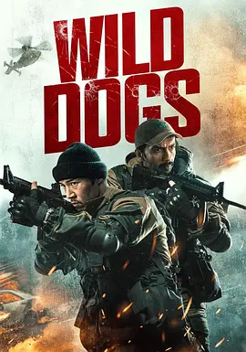 金与野狗
