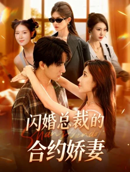 闪婚总裁契约妻